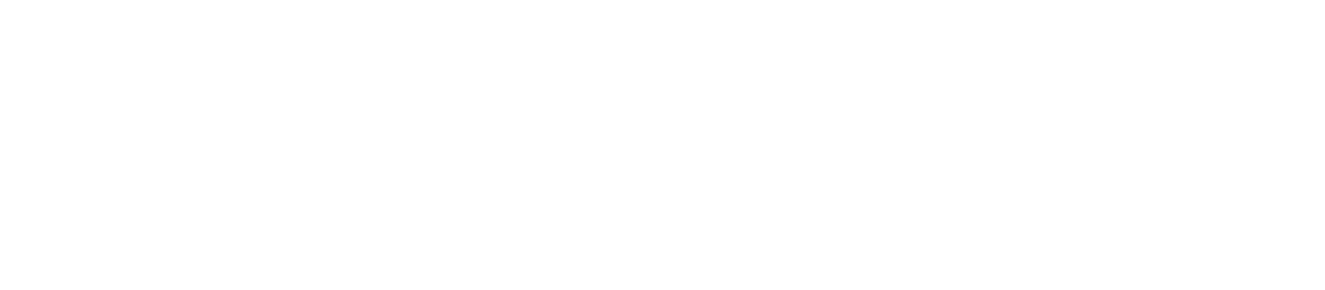 Saroli — logo